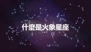 11月22是什麼星座